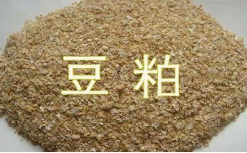 怎么享受優(yōu)惠手續(xù)費？豆粕期平今倉