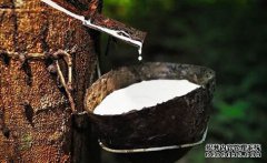 橡膠上漲仍可期，焦炭期現(xiàn)聯(lián)動，向