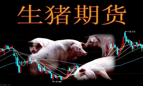生豬期貨的作用和交易規(guī)則有哪些？