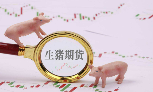 生豬期貨的成本介紹：期貨手續(xù)費計