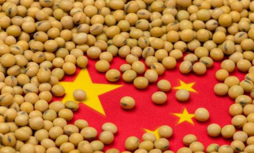 期貨本金虧完了會(huì)怎么樣？還需要加