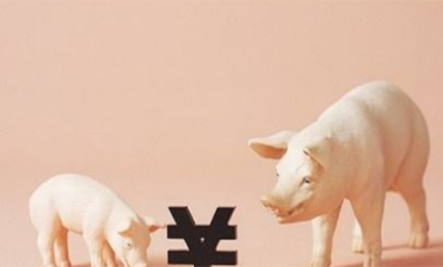一手生豬期貨交易成本要多少錢？保