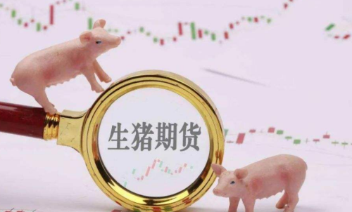 生豬期貨未來走勢(shì)將會(huì)如何？生豬期